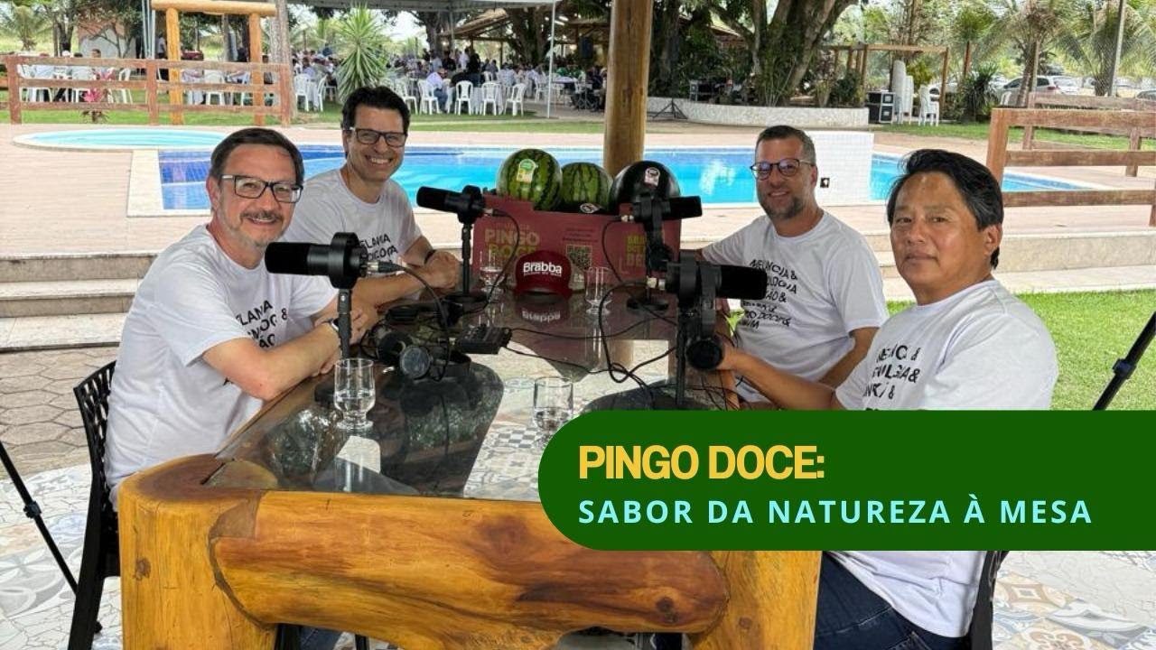 Pingo Doce: Sabor da Natureza à Mesa