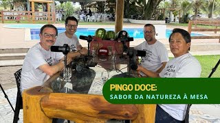 Download Lagu Pingo Doce: Sabor da Natureza à Mesa MP3