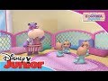 Doctora Juguetes: Momentos Mágicos - El Primer Bebé | Disney Junior Oficial