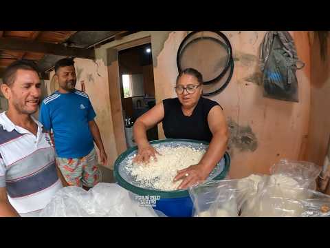 Muita Alegria no Sítio Pitombeira Depois das Chuvas - Fazia 7 Meses que não Chovia #nordeste #sertão