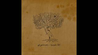 All Youve Seen  Ascent