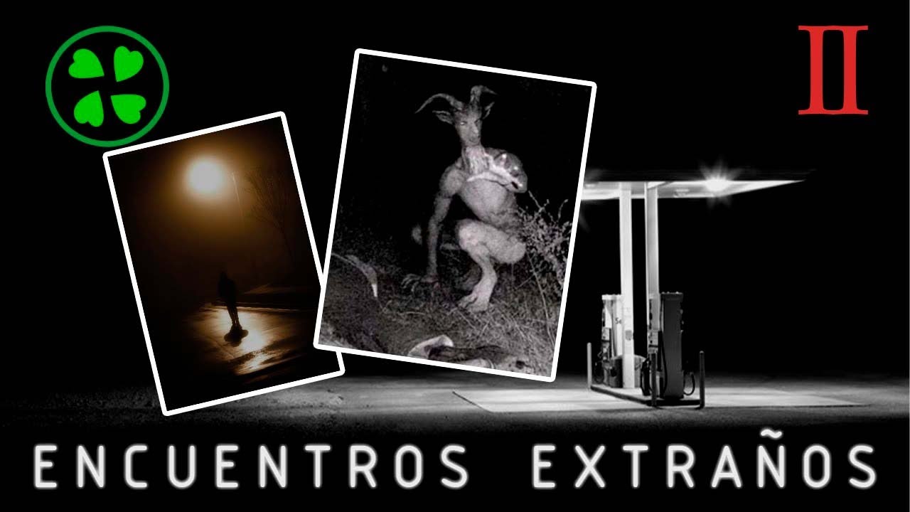 Encuentros extraños en 4chan | Recopilación II | /x/