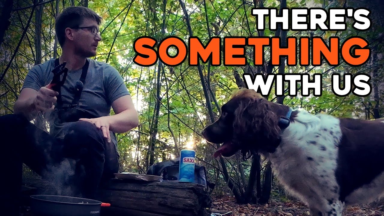 ОХОТА ЗА ПРИВИДЕНИЯМИ в Грэвел Вуд!