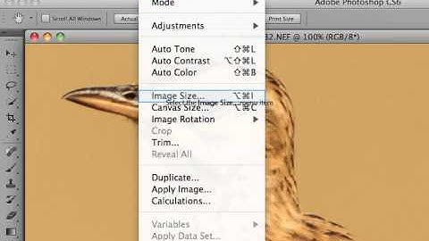 Image Resize in Adobe Photoshop CS6