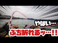 フカセ釣りで人生初HIT！あまりのデカさに激安磯竿がぶち曲がる！