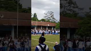 Tarian khas papua wisisi Smansa wamena papua pegunungan