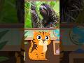 Fun Facts About Sloth #funfacts #factsforkids #kidslearning #kidsvideo