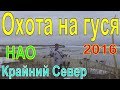 ОХОТА НА ГУСЯ. 2016 Весна. Крайний север. НАО.