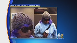 Man In Purple Wig Robs Bank: Police
