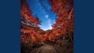 Crimson Leaf Drift