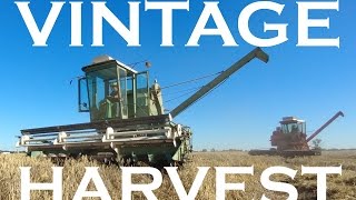 Australian Vintage Harvest 2K16/17