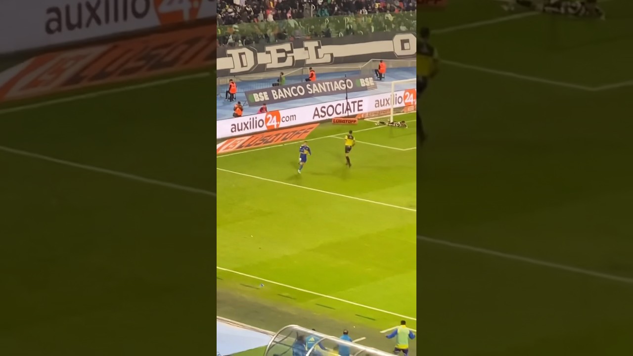 SHOW DE GOLES | Central Córdoba 2 - Boca 4 | Torneo LPF 2024