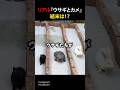 リアル『ウサギとカメ』結末は！？