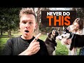 How To Safely Introduce Your Dog To Other Dogs Dog Training Tips 