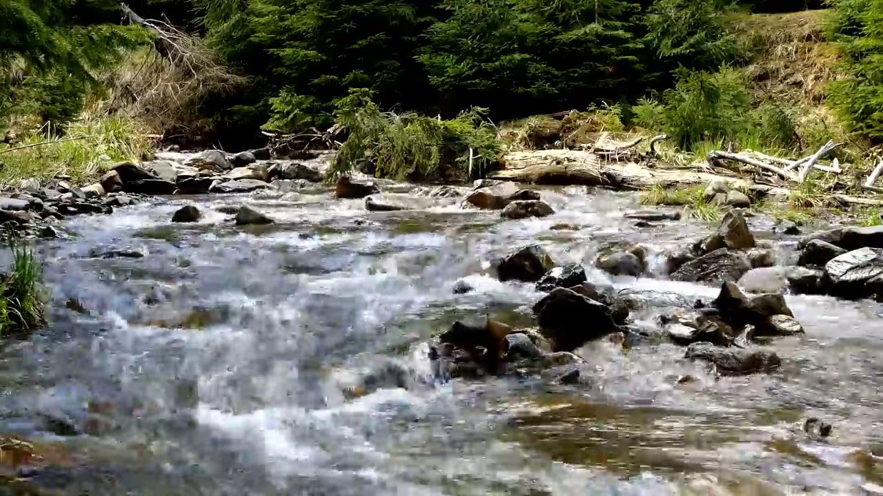 Muzyka Relaksacyjna Szum Morza śpiew Ptaków Muzyka relaksacyjna - Szum górskiego potoku. - YouTube