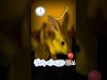1 AM party #cute #shorts #shortsvideo #trending #trendingshorts #viral #short #trend #shorts #rabbit