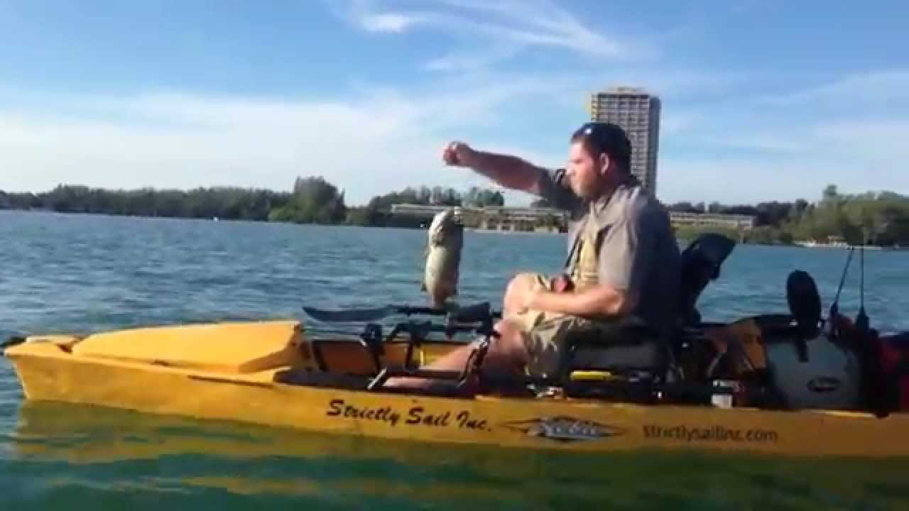 Kayak Fishing in Sarasota Part 1 YouTube