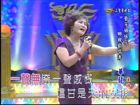 藝芳姐妹花 第47集 真情什人知  (小菁)