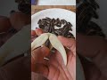 Amazing#shorts#SUNFLOWER SEED OPENER#kitchen hacks#Lifehacks#youtubeshorts