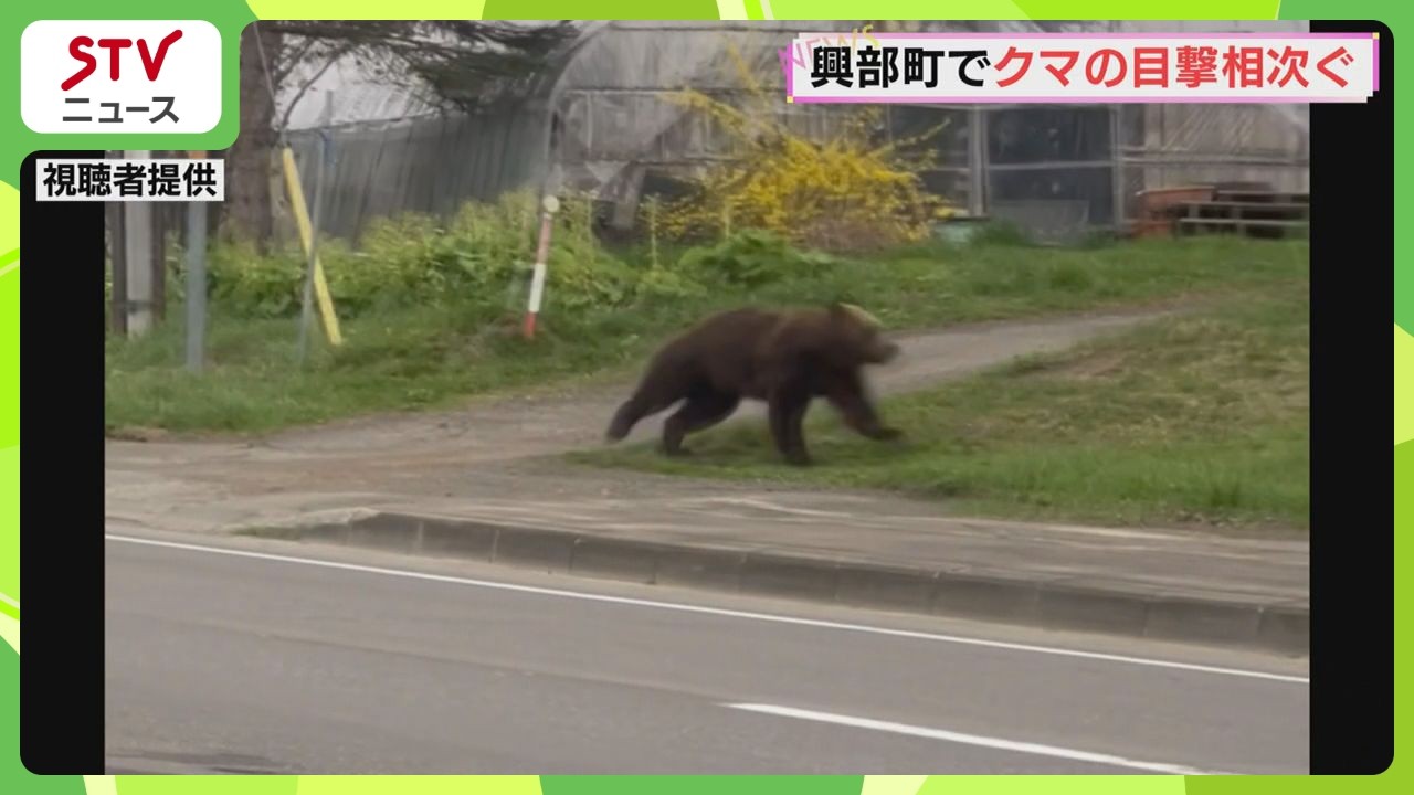 クマクマオーダーページ A brown bear was sighted leisurely in Okoppe town; there have been