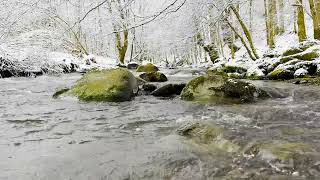 Wonderful winter view and the soothing sound of the mountain river flowing through the snowy forest.