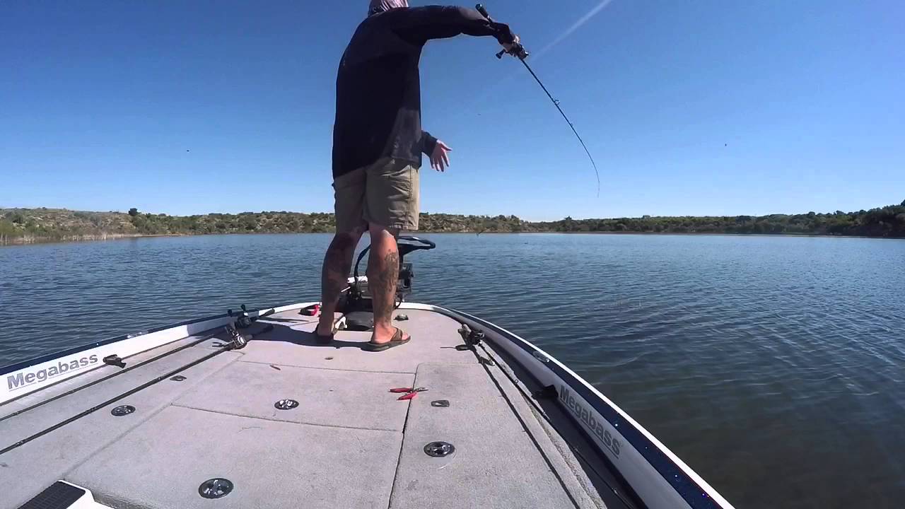Bed Fishing For Bass YouTube