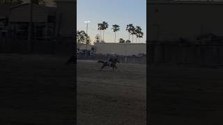 Not The Run We Wanted But Won 94 In The 4D