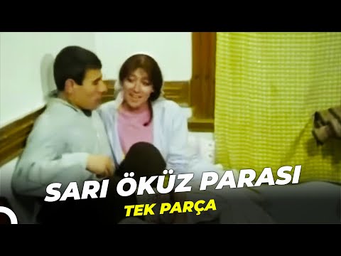 Sarı Öküz Parası | İlyas Salman - Ayşen Gruda Eski Türk Filmi Full İzle