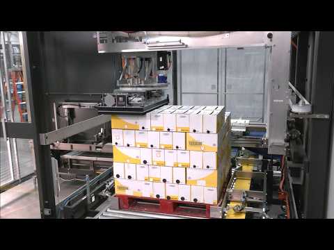 Aagard Palletizer and Stretch Wrapper for Food Industry Product