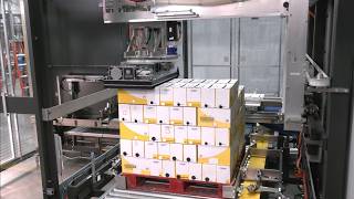 Aagard Palletizer and Stretch Wrapper for Food Industry Product