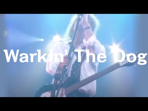 「Warkin' The Dog」ジョニー吉長 Dr / ルイズルイス加部（加部正義）B / 横内健亨 G