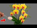 Sprinkle 1 teaspoon every week! Orchids will grow and bloom new flowers immediately