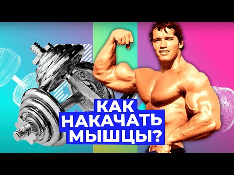 Мышцы как у Шварцнеггера: как ТРЕНИРОВАТЬСЯ правильно? // Злобный ЗОЖ