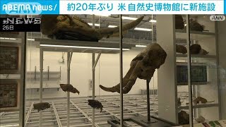 蝶1000匹が舞うパノラマ絶景　ニューヨークに新名所(2023年4月27日)