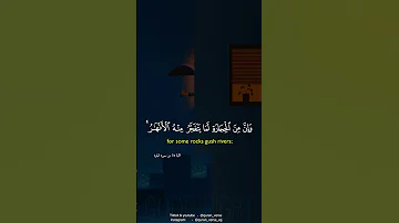 قرآن كريم بصوت سعد الغامدى ثم قست قلوبكم من بعد ذلك فهى كالحجارة أو أشد قسوة حالات واتس اب دينية 