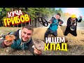 ИЩЕМ КЛАД НА МЕТАЛЛОИСКАТЕЛЬ! НАШЛИ СЕРЕБРЯНУЮ МОНЕТУ! НАШЛИ МНОГО ГРИБОВ! Виталий Зеленый! ВЛОГ!