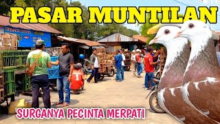 MENCARI MERPATI GIRINGAN DIPASAR MUNTILAN MAGELANG KOLEKSI MERPATINYA MBAH JO CAKEP CAKEP PART 1