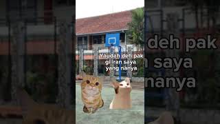 Siapa yang lebih pintar gurunya atau murid? #kucing #meme #kucinglucu