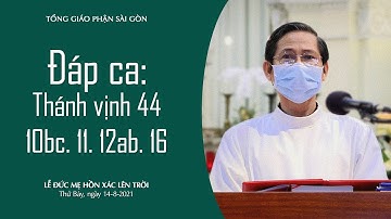 Đáp ca: Thánh vịnh 44, 10bc. 11. 12ab. 16 - Lễ Đức Mẹ Hồn Xác Lên Trời