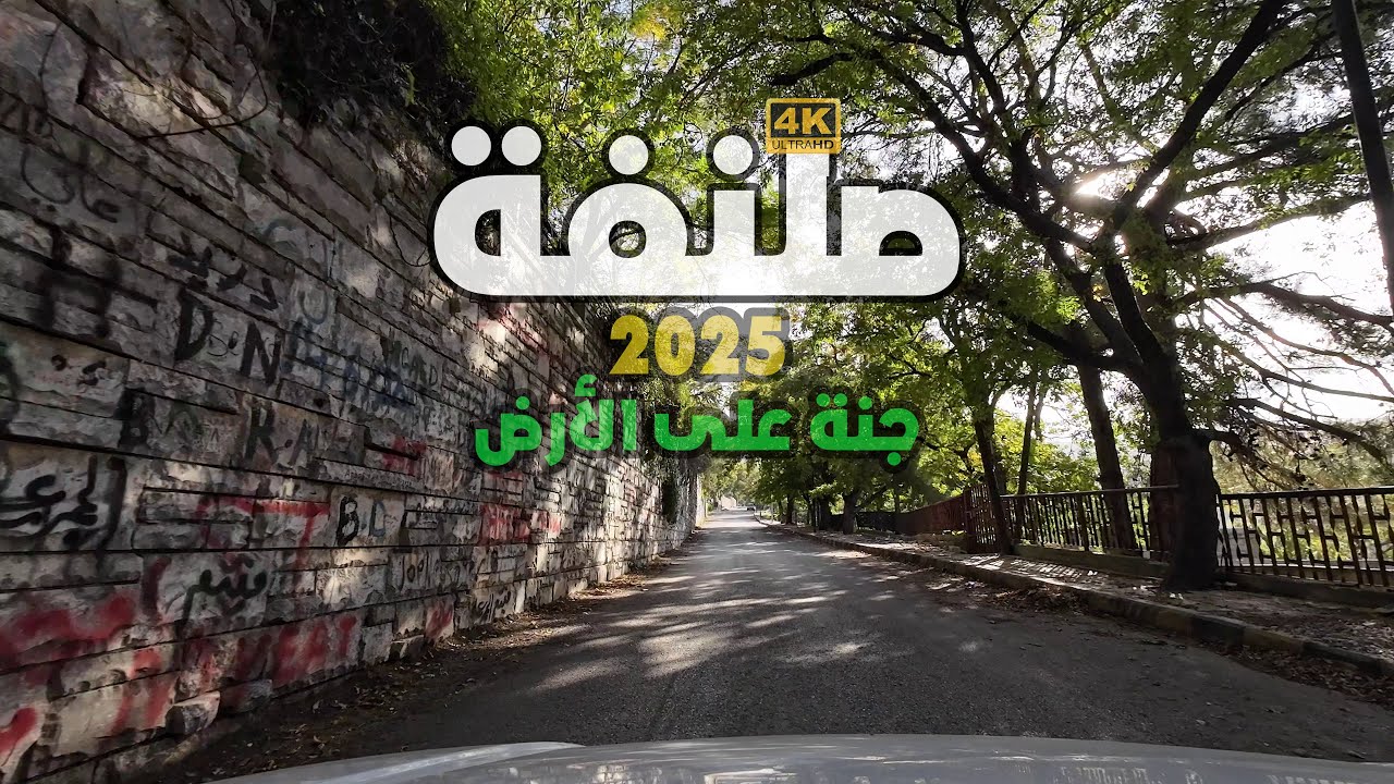 جولة في الطبيعة الساحرة | صلنفة لوحة من صنع الخالق | ❤️ 2025 🇸🇾