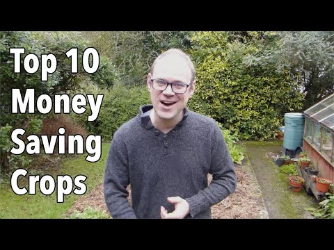 Video: How To Save Money By Growing Crops In The Garden