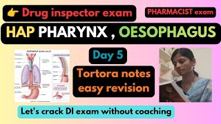 📚 HAP Digestive System | Pharynx, Oesophagus & Deglutition Explained Easy