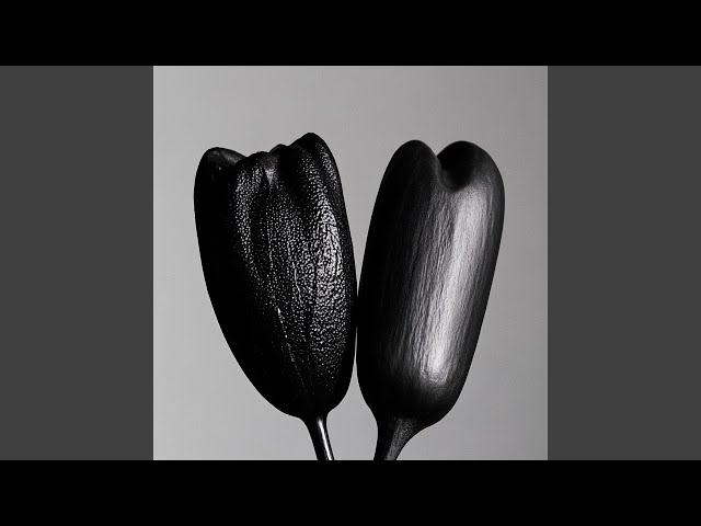 Ale ale ale