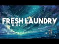 Allie X Fresh Laundry Lyrics mp3