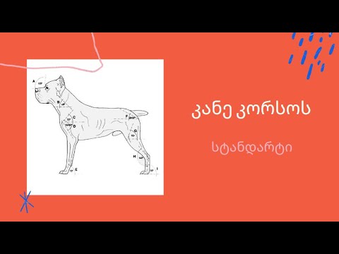 კანე კორსოს სტანდარტი