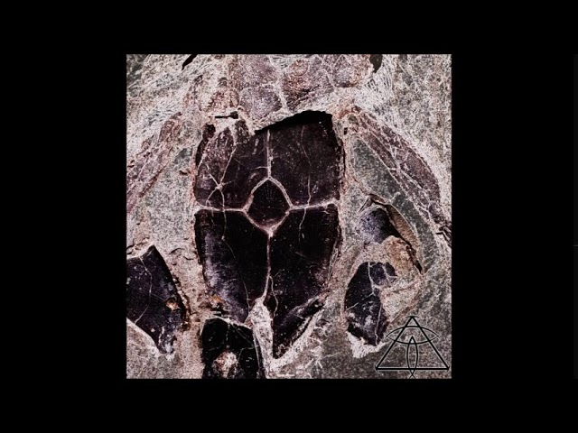 Guarda Arbiter - Forsmark su YouTube Guarda Arbiter - Forsmark su YouTube