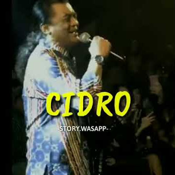 Story wa didi kempot cidro