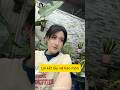 #39 Cuộc sống làm rể hào môn #tieuyenthi #reviewphim #shortvideo #funny #haihuoc #viral #video #hot
