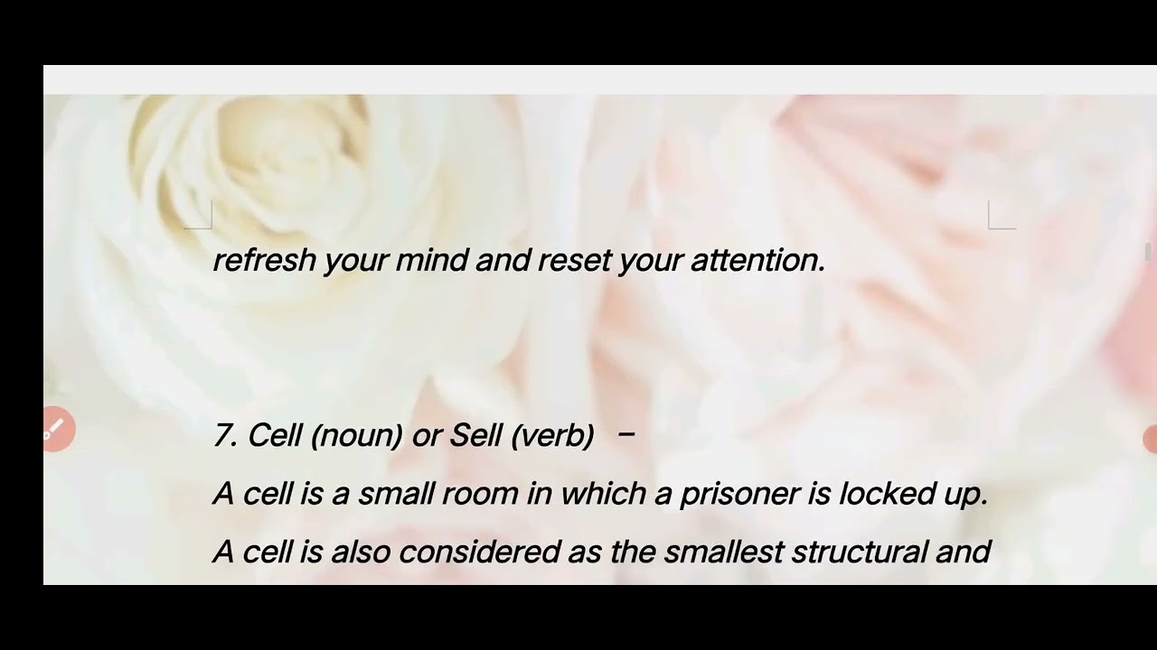 Understanding the Words Better Part-2