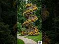 Amazing Spiral Staircase Garden Transformation! 🛠️🌺​ #shorts#timelapse #garden#usa#stairs#satisfying